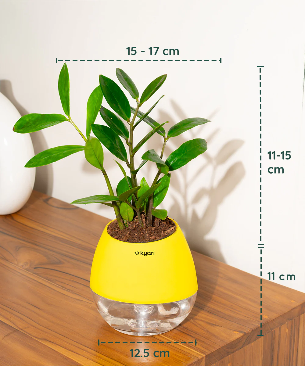 Product image 95