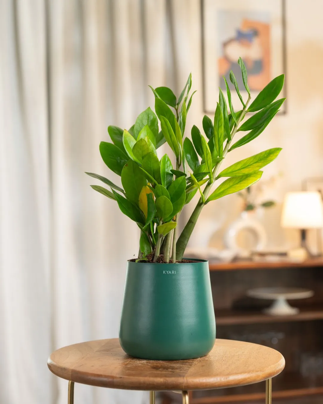 Product image 97